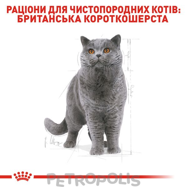 Сухий корм для котів Royal CaninBRITISH SHORTHAIR ADULT 400г 2557004 фото