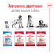 Сухий корм для собак Royal Canin MEDIUM ADULT 15 кг 30041500 фото 3