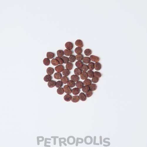 Carnilove True Fresh Cat - сухий корм для дорослих котів з індичкою, 340 г 1111174826 фото