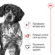 Сухий корм для собак Royal Canin MEDIUM ADULT 4кг 30040400 фото 3