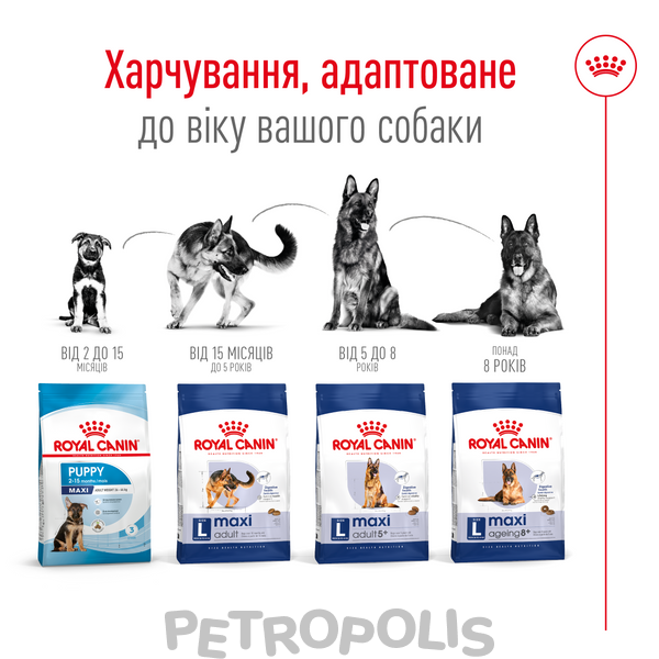 Сухий корм для собак Royal Canin MAXI ADULT 4кг 30070400 фото