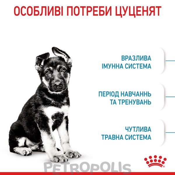 Сухий корм для цуценят Royal Canin MAXI PUPPY 1 кг 30060101 фото