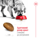 Сухий корм для собак Royal Canin MAXI ADULT 4кг 30070400 фото 4