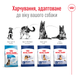 Сухий корм для собак Royal Canin MAXI ADULT 4кг 30070400 фото 5