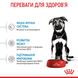 Сухий корм для цуценят Royal Canin MAXI PUPPY 1 кг 30060101 фото 6