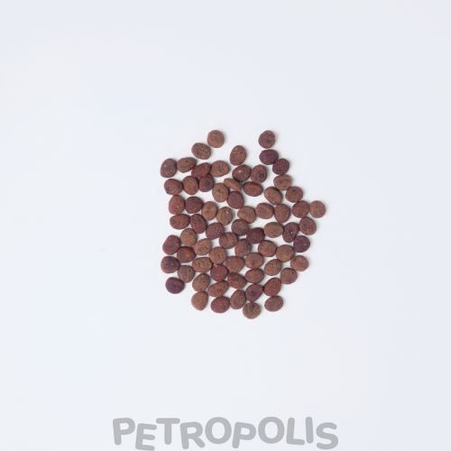 Carnilove True Fresh Cat - сухий корм для дорослих котів з рибою, 340 г 1111174823 фото