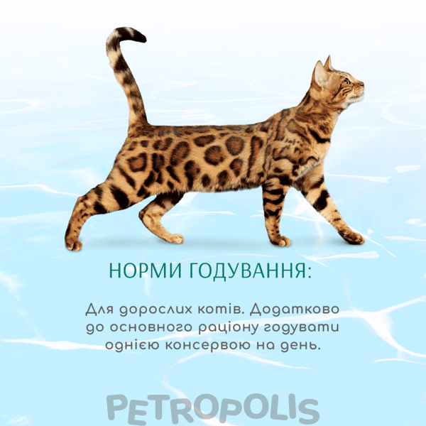 OptiMeal Beauty Podium Adult Cat - вологий корм для дорослих котів з морепродуктами (шматочки у желе) 70г B2782202 фото