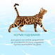 OptiMeal Beauty Podium Adult Cat - вологий корм для дорослих котів з морепродуктами (шматочки у желе) 70г B2782202 фото 4