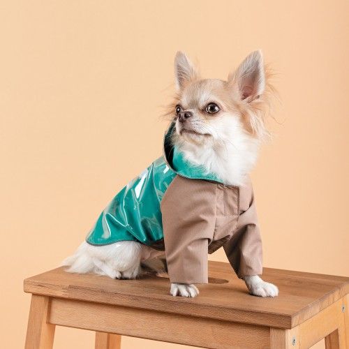 Дощовик Pet Fashion Semmy для собак розмір XS 1111179025 фото