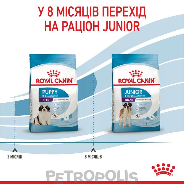 Сухий корм для цуценят Royal Canin GIANT PUPPY 1 кг 3030010 фото