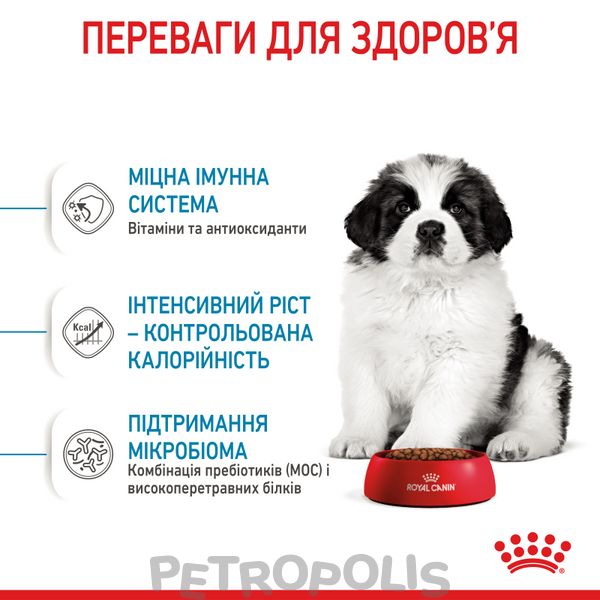 Сухий корм для цуценят Royal Canin GIANT PUPPY 1 кг 3030010 фото