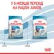 Сухий корм для цуценят Royal Canin GIANT PUPPY 1 кг 3030010 фото 9