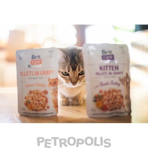 Brit Care Kitten Fillets Turkey - влажный корм для котят филе с нежной индейкой в соусе 85 г 100531/0532 фото
