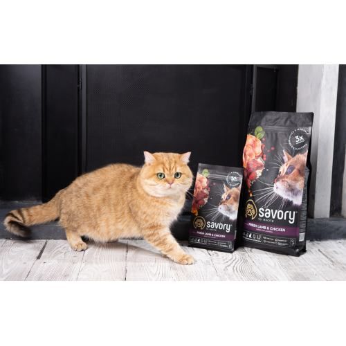 Корм сухий Savory Adult Cat Steril Fresh Lamb and Chicken для стерилізованих котів з ягнятиною та куркою 400 г 30105 фото