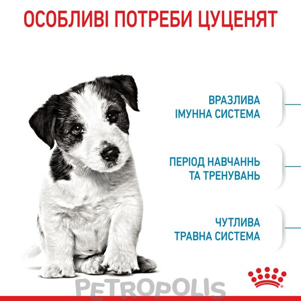 Сухий корм для цуценят Royal Canin MINI PUPPY 800 г 30000082 фото