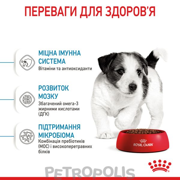 Сухий корм для цуценят Royal Canin MINI PUPPY 800 г 30000082 фото