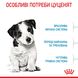 Сухий корм для цуценят Royal Canin MINI PUPPY 800 г 30000082 фото 4