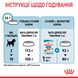 Сухий корм для цуценят Royal Canin MINI PUPPY 800 г 30000082 фото 9