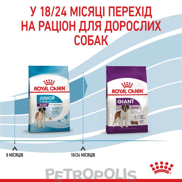 Сухий корм для цуценят Royal Canin GIANT JUNIOR 15 кг 3031150 фото