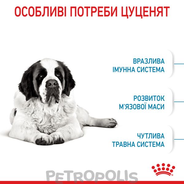 Сухий корм для цуценят Royal Canin GIANT JUNIOR 15 кг 3031150 фото