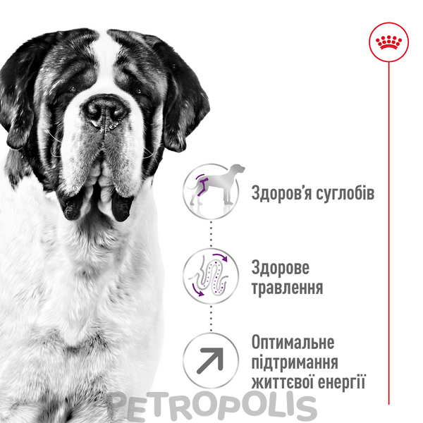 Сухий корм для собак Royal Canin GIANT ADULT 4 кг 3009040 фото