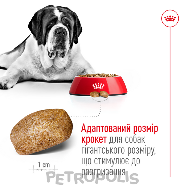 Сухий корм для собак Royal Canin GIANT ADULT 4 кг 3009040 фото