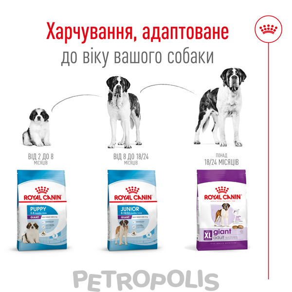 Сухий корм для собак Royal Canin GIANT ADULT 4 кг 3009040 фото