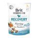 Brit Care Functional Snack Recovery Herring - ласощі для дорослих собак з оселедцем, 150 г 111426 фото 1