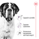 Сухий корм для собак Royal Canin GIANT ADULT 4 кг 3009040 фото 5