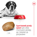 Сухий корм для собак Royal Canin GIANT ADULT 4 кг 3009040 фото 4