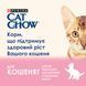 Cat Chow Kitten - влажный корм для котят кусочки в соусе с ягнем и цуккини 85 г 12527718 фото 3