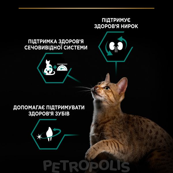 Сухий корм PRO PLAN Sterilised Adult 1+ Renal Plus для дорослих котів після стерилізації з індичкою 3 кг 7613033560033 фото