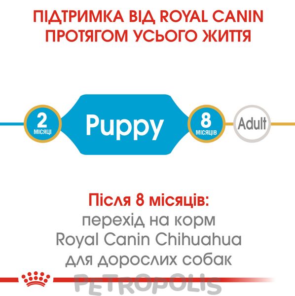 Сухий корм для цуценят Royal Canin CHIHUAHUA PUPPY 500г 24380051 фото