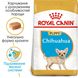 Сухий корм для цуценят Royal Canin CHIHUAHUA PUPPY 500г 24380051 фото 3