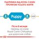 Сухий корм для цуценят Royal Canin CHIHUAHUA PUPPY 500г 24380051 фото 4