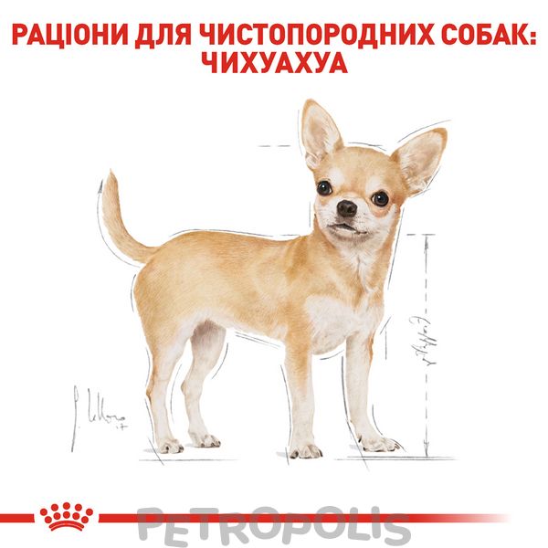 Сухий корм для собак Royal Canin CHIHUAHUA ADULT 500г 2210005 фото