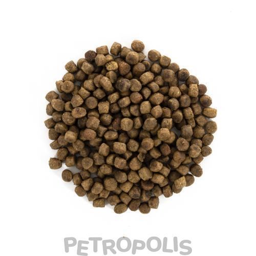 Brit Care Cat Grain Free Kitten HGrowth Development - сухой корм для котят для здорового роста и развития 400 г 171279/0686 фото