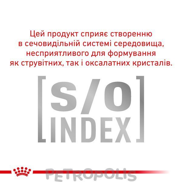 Royal Canin Diabetic - дієтичний вологий корм для собак при цукровому діабеті (паштет) 410г 4015004 фото
