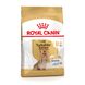 Сухий корм для собак Royal Canin YORKSHIRE AGEING 8+, 1,5кг 1260015 фото 1