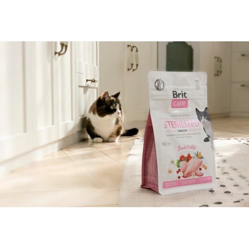 Корм сухий Brit Care Cat Grain Free Sterilized Sensitive для стерилізованих котів з чутливим травленням з кроликом 400 г 171291/0778 фото