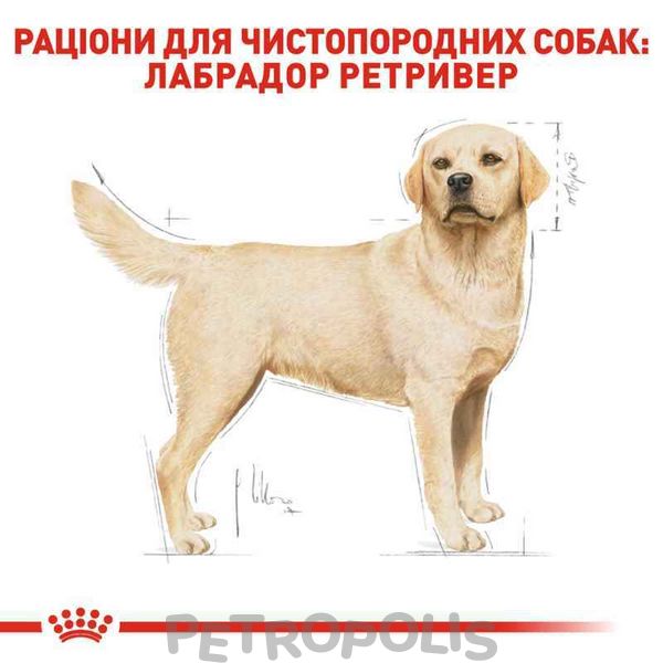 Сухий корм для собак Royal Canin LABRADOR ADULT 12 кг 2487120 фото