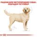 Сухий корм для собак Royal Canin LABRADOR ADULT 12 кг 2487120 фото 5