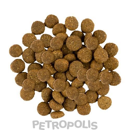 Savory Junior Large rich in Fresh Turkey and Chicken - сухий корм для молодих собак великих порід від 25 кг зі свіжою індичкою та куркою 3 кг 30204 фото