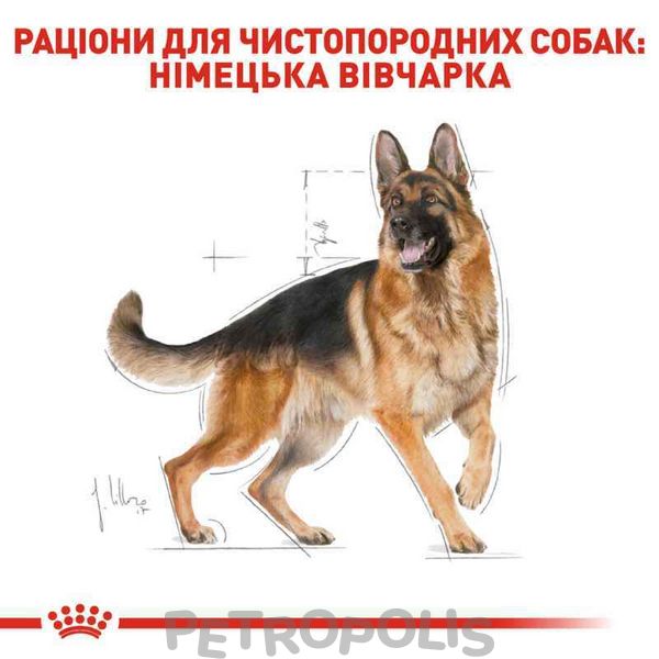 Сухий корм для собак Royal Canin GERMAN SHEPHERD ADULT 11 кг 2518110 фото