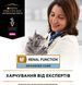 Purina Pro Plan Veterinary Diets NF Renal Function Advanced Care - диетический сухой корм для взрослых кошек для поддержания функции почек при хронической болезни почек 350 г 12499848 фото 5