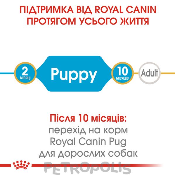 Сухий корм для цуценят Royal Canin PUG PUPPY 1,5кг 41300151 фото