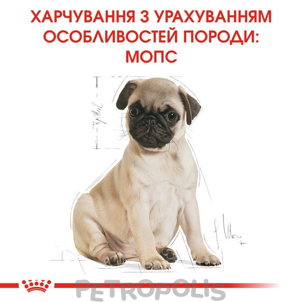 Сухий корм для цуценят Royal Canin PUG PUPPY 1,5кг 41300151 фото