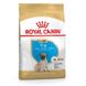 Сухий корм для цуценят Royal Canin PUG PUPPY 1,5кг 41300151 фото 1