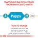 Сухий корм для цуценят Royal Canin PUG PUPPY 1,5кг 41300151 фото 3