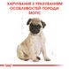 Сухий корм для цуценят Royal Canin PUG PUPPY 1,5кг 41300151 фото 6